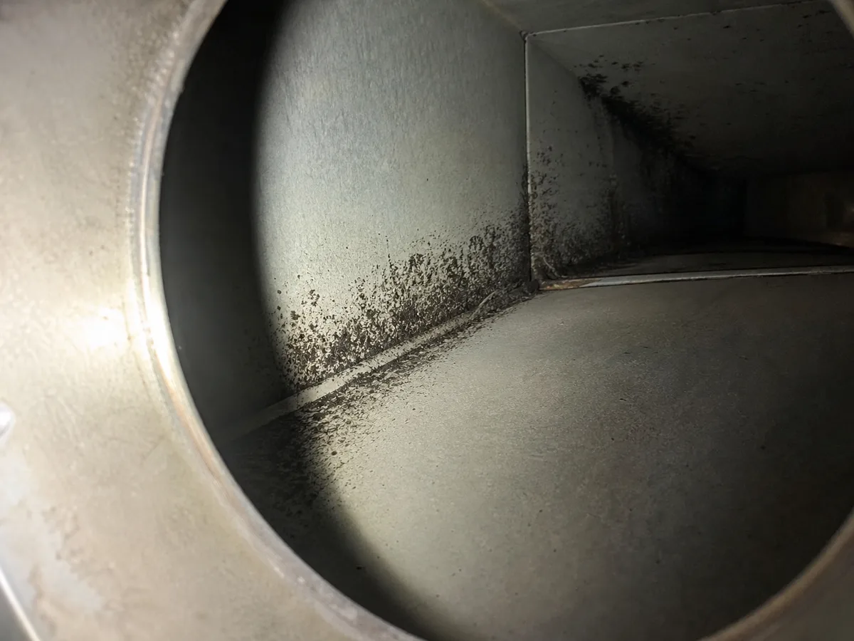 Air Duct Mold Removal in Dallas, TX